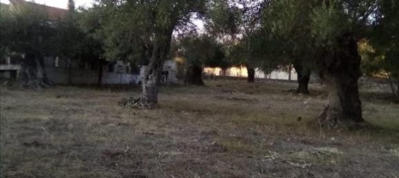 2537m² Hotel in Thesprotia, Greece No. 4250 12