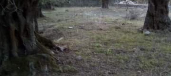 2537m² Hotel in Thesprotia, Greece No. 4250 9