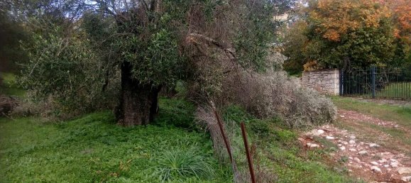 2537m² Hotel in Thesprotia, Greece No. 4250 20