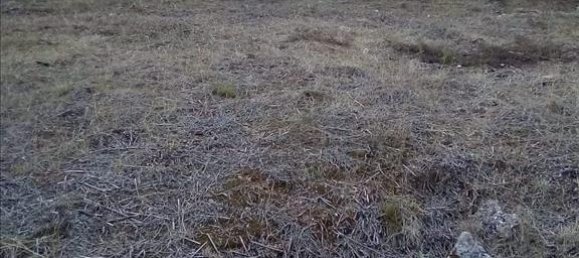 2537m² Hotel in Thesprotia, Greece No. 4250 24