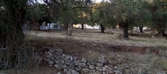 2537m² Hotel in Thesprotia, Greece No. 4250 22