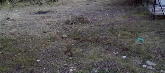 2537m² Hotel in Thesprotia, Greece No. 4250 23