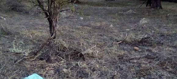 2537m² Hotel in Thesprotia, Greece No. 4250 18