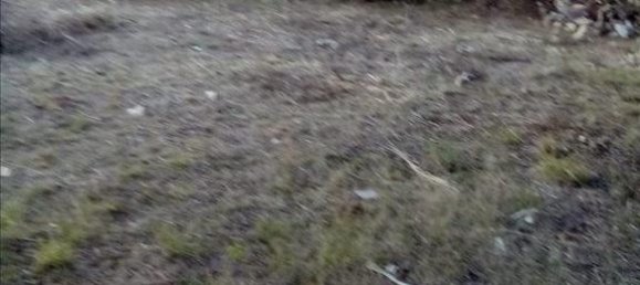 2537m² Hotel in Thesprotia, Greece No. 4250 30