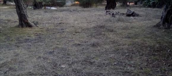 2537m² Hotel in Thesprotia, Greece No. 4250 7