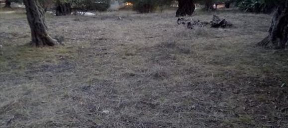 2537m² Hotel in Thesprotia, Greece No. 4250 11