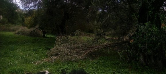 2537m² Hotel in Thesprotia, Greece No. 4250 16