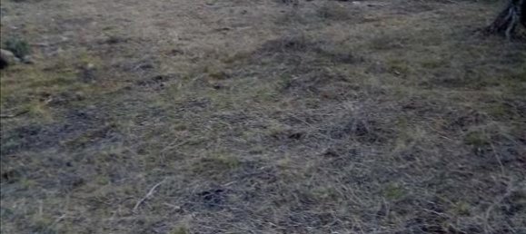 2537m² Hotel in Thesprotia, Greece No. 4250 10