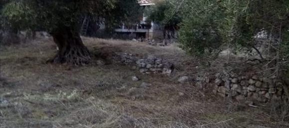 2537m² Hotel in Thesprotia, Greece No. 4250 13