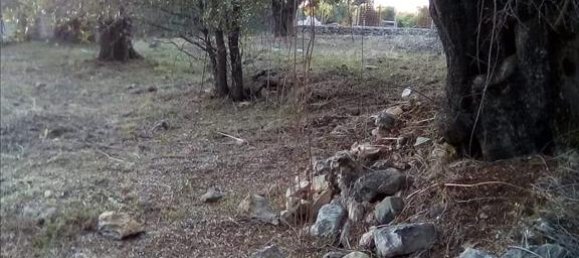 2537m² Hotel in Thesprotia, Greece No. 4250 21