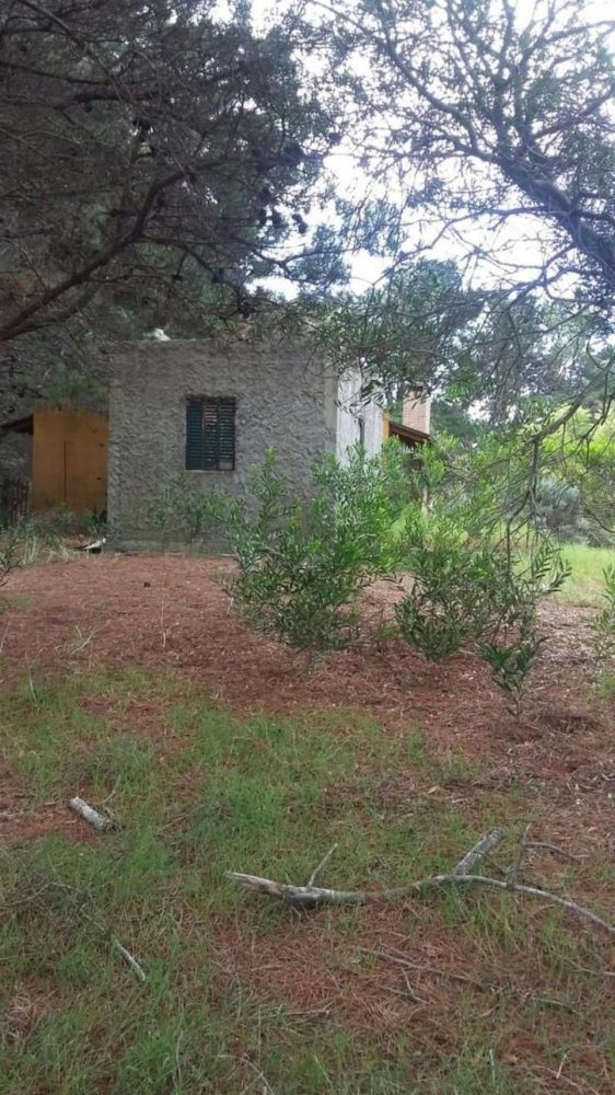 Земельный участок в Мар-дель-Плата, Аргентина № 116644