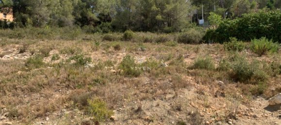 483m² Land in Barcelona, Spain No. 105742 5