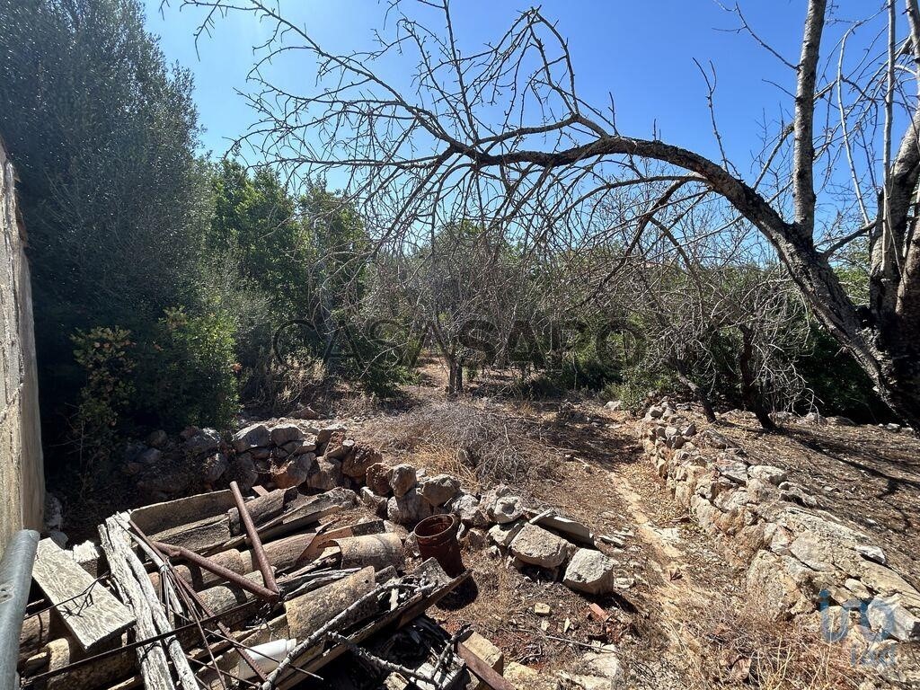 3 غرف نوم منزل في Loule, Portugal رقم 211847