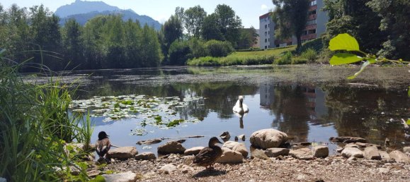 Apartamento de 4 divisões em Gmunden, Austria N.º 230032 2