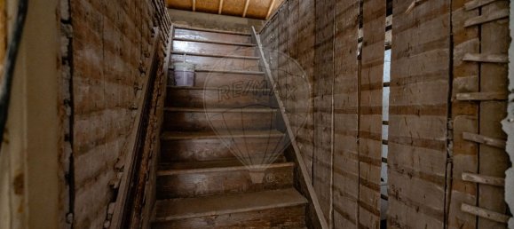 8 bedrooms House in Montemor o Velho, Portugal No. 166922 5