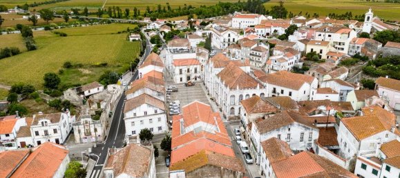 8 bedrooms House in Montemor o Velho, Portugal No. 166922 15