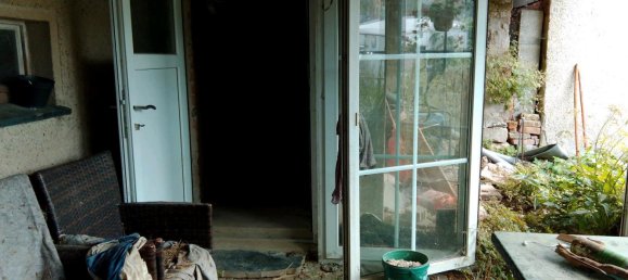 Ферма с 4 комнатами в Зале-Орла, Германия № 239657 8