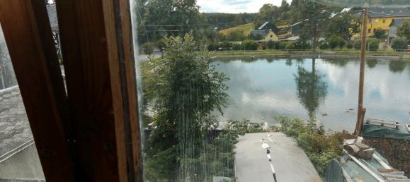 Ферма с 4 комнатами в Зале-Орла, Германия № 239657 11