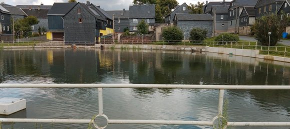 Ферма с 4 комнатами в Зале-Орла, Германия № 239657 3