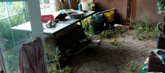 Ферма с 4 комнатами в Зале-Орла, Германия № 239657 6