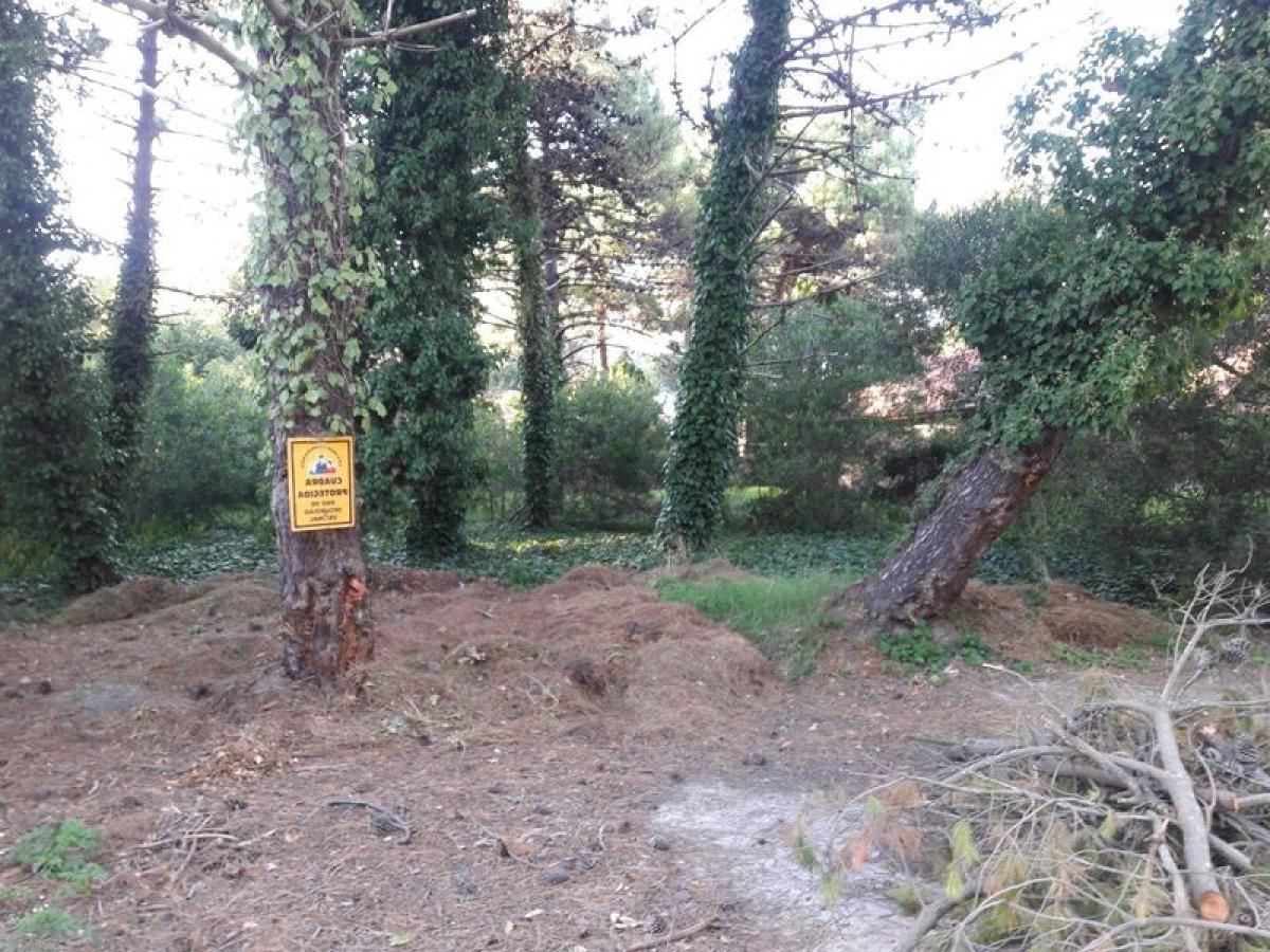  Land in Mar del Plata, Argentina No. 118512