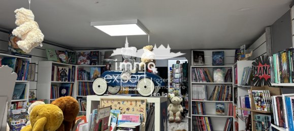 272m² Commercial property in Mirecourt, France No. 247717 2