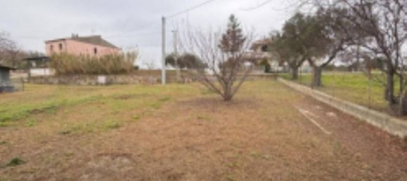 2-Zimmer Haus in Nereto, Italy, Nr. 265673 2