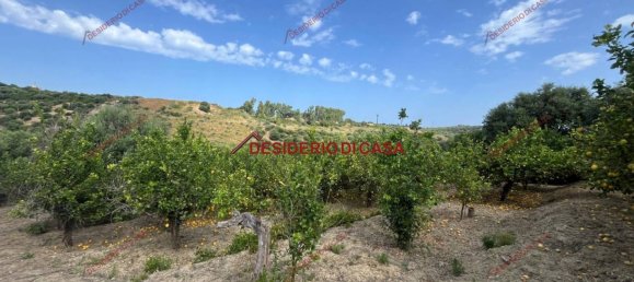 2-salle Villa à Lascari, Italy No. 295329 17