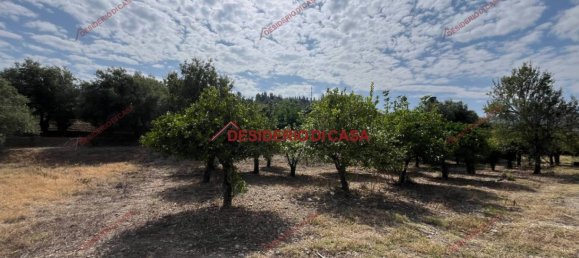 2-salle Villa à Lascari, Italy No. 295329 9