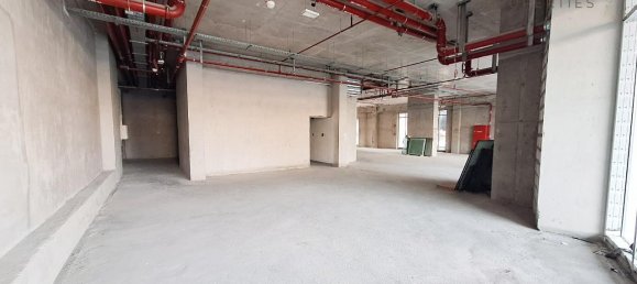 Laden in Dubai Land, UAE 538.8m², Nr. 54821 5