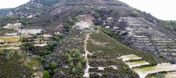 25284m² Land in Agios Mamas, Cyprus No. 15011 3