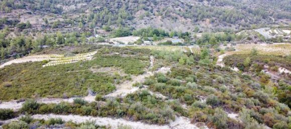 25284m² Land in Agios Mamas, Cyprus No. 15011 4