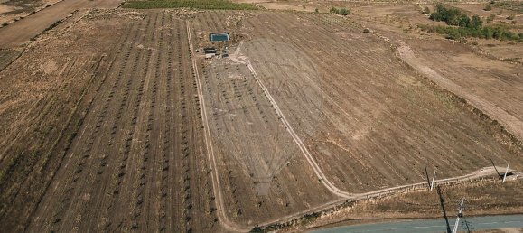 Casa T10 em Escalhão, Portugal N.º 19965 14