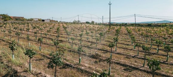 Casa T10 em Escalhão, Portugal N.º 19965 9