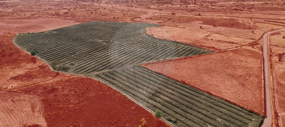 Casa T10 em Escalhão, Portugal N.º 19965 13