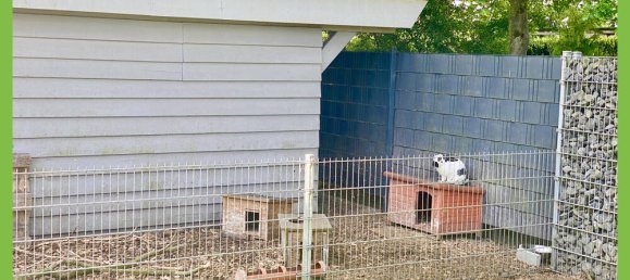 Adosado de 10 dormitorios en Emsland, Germany No. 132540 49