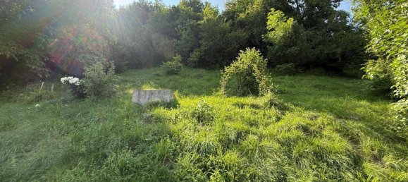 Земельный участок 2037м² в Брук ан дер Мур, Австрия № 151474 3