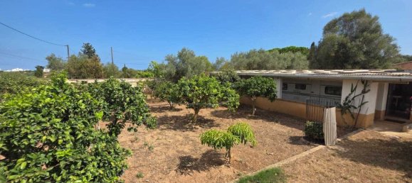 2 bedrooms House in Sant Llorenc Des Cardassar, Spain No. 133574 27