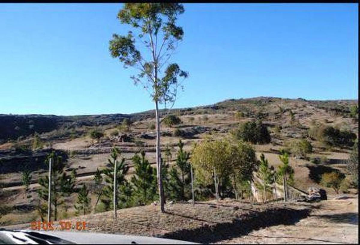  Land in Cordoba, Argentina No. 37302
