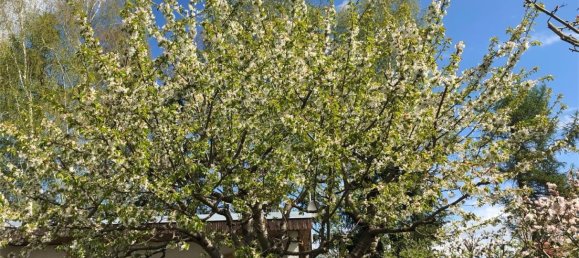 Земельный участок в Нидершёнхаузен, Германия № 294877 11