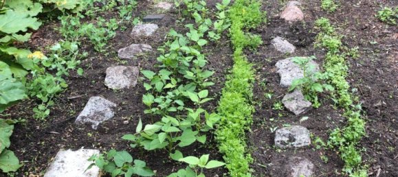 Земельный участок в Нидершёнхаузен, Германия № 294877 15