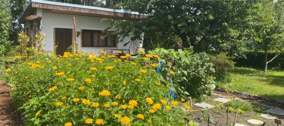 Земельный участок в Нидершёнхаузен, Германия № 294877 10