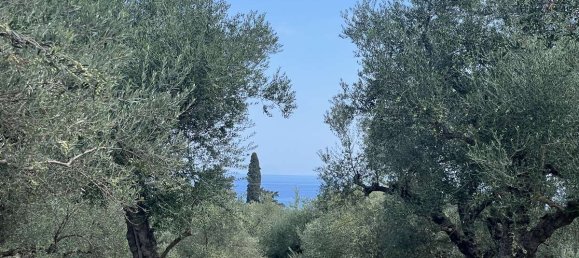  Hotel in Zakynthos, Greece No. 8591 3