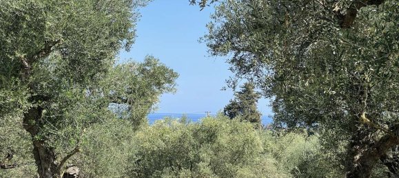Grundstück in Zakynthos, Greece, Nr. 8591 16