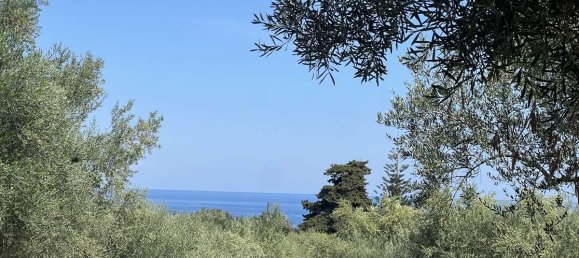  Hotel in Zakynthos, Greece No. 8591 10