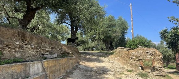 Grundstück in Zakynthos, Greece, Nr. 8591 11