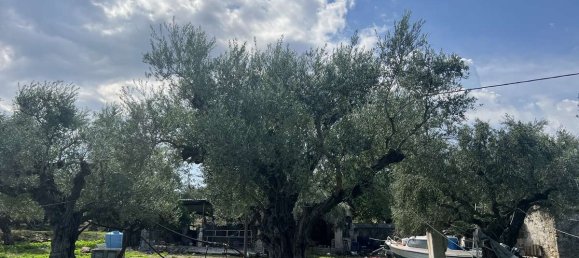  Hotel in Zakynthos, Greece No. 8591 7