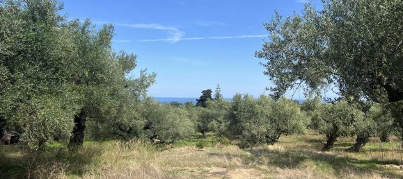  Hotel in Zakynthos, Greece No. 8591 8