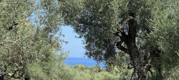 Grundstück in Zakynthos, Greece, Nr. 8591 17