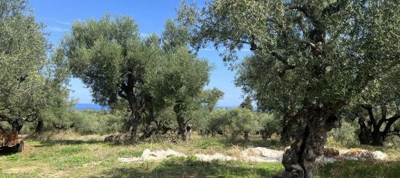  Hotel in Zakynthos, Greece No. 8591 15